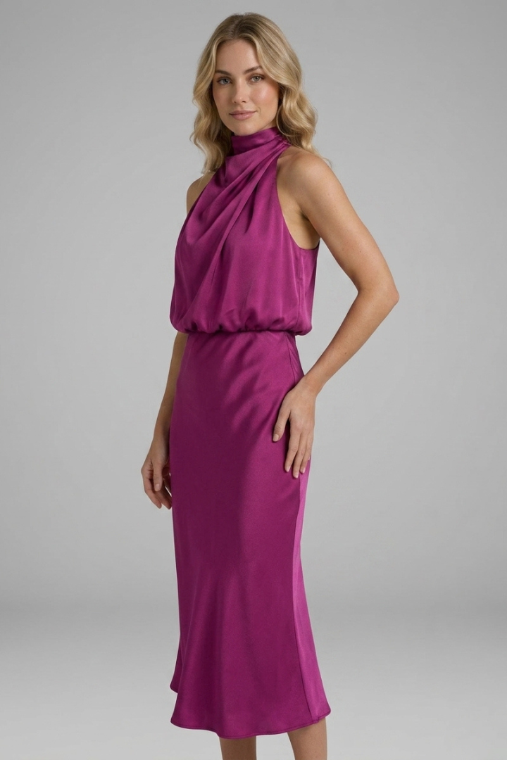 Everlynn | Women's Elegant Sleeveless Maxi Dress with Draped High Neck