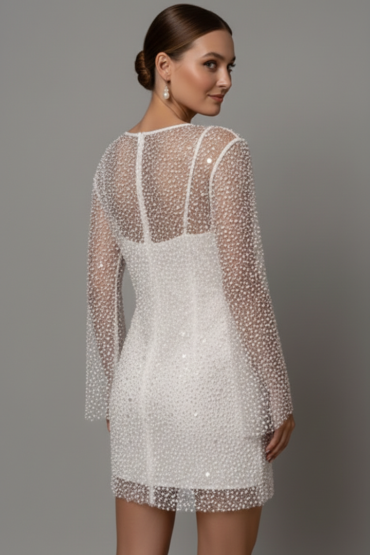 Waverly | Women's Layered Mini Dress – Mesh Overlay Long Sleeve Dress
